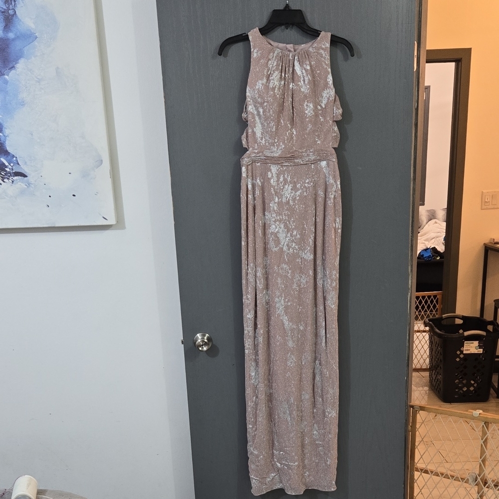 Adrianna Papell Maxi Dress in Shimmering Beige